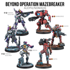Beyond Operation Mazebreaker