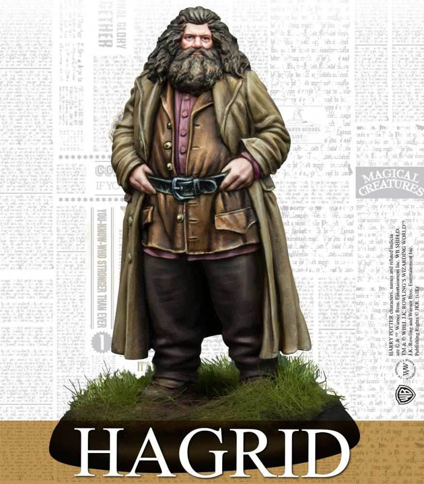 Harry Potter Miniatures Adventure Game: Rubeus Hagrid & Fang Pack - 