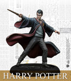 Harry Potter Miniatures Adventure Game: Core Box - 