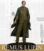 Harry Potter Miniatures Adventure Game: Remus Lupin & Werewolf Form Pack - 