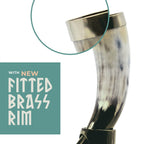 Curved Drinking Horn Bundle with Stand & Holster