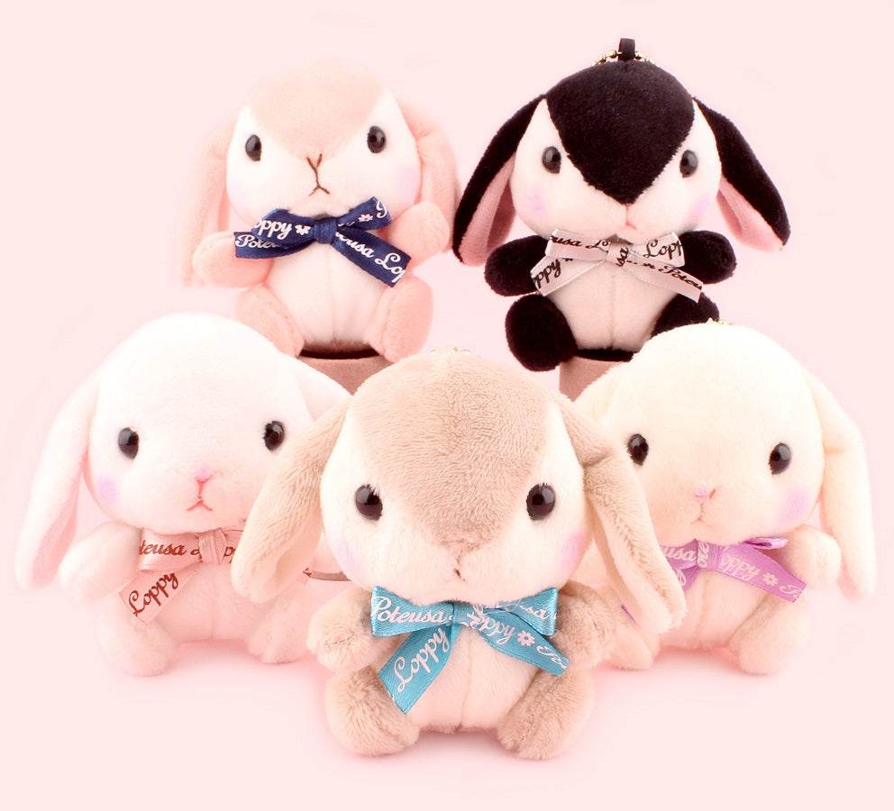 Amuse Poteusa Loppy Teddy Color Plush Doll - 