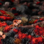 Gamers Grass Tufts: Alien Tufts- Blood Moon 6mm- Wild - 