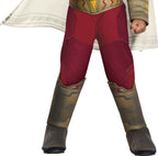 Shazam! Movie Muscle Chest Superhero Toddler Costume