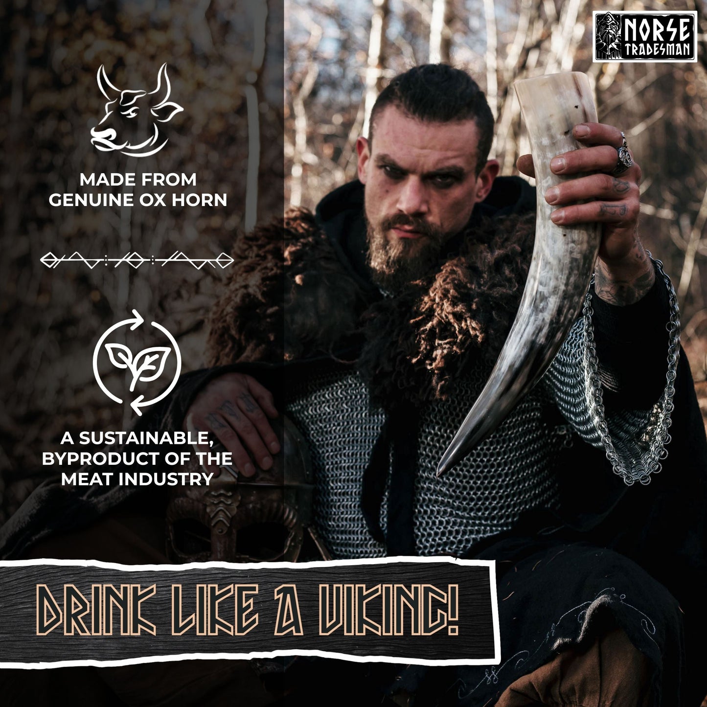 Curved Drinking Horn with Wooden Stand