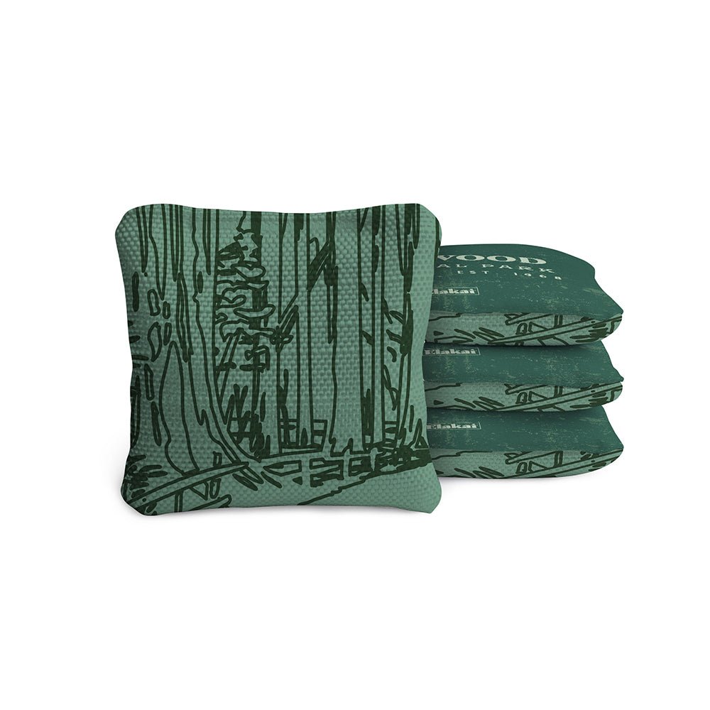 4-in Travel Dual-Sided Cornhole Bags | National Parks Collection