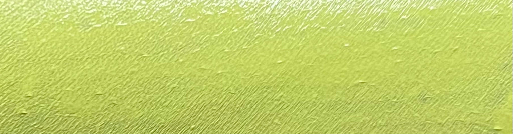 44 - Chartreuse (Yellow) Water Activated Graphic Liner