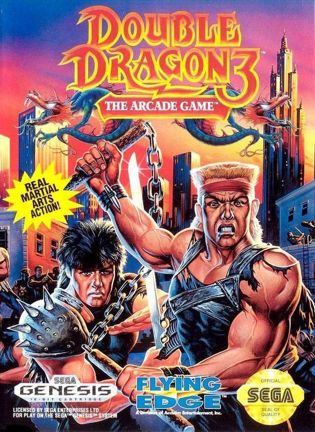 Double Dragon 3 The Arcade Game (Sega Genesis) - Game Manual Only