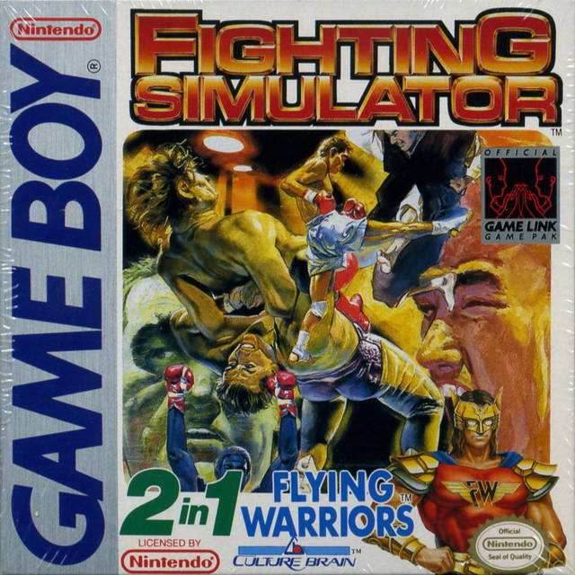 Fighting Simulator: 2-in-1 Flying Warriors (Gameboy) - Game Manual Only