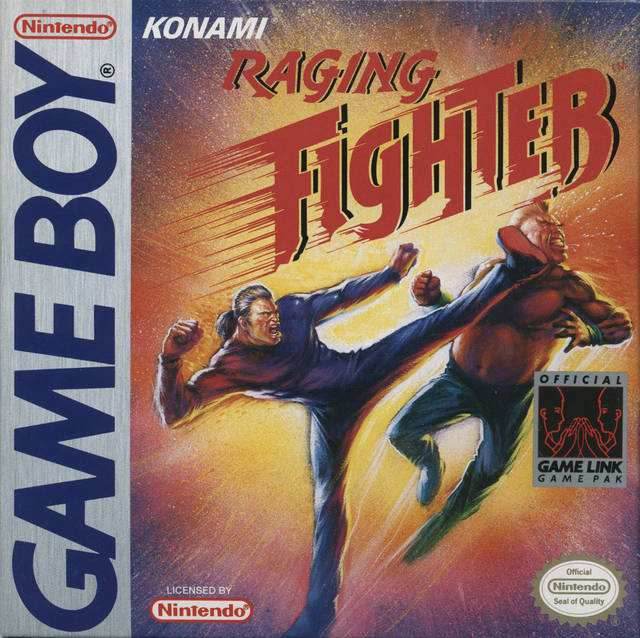 Raging Fighter (Gameboy) - Game Manual Only