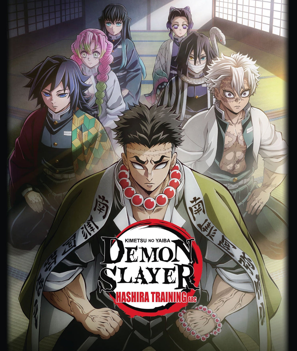 Demon Slayer: Kimetsu no Yaiba: Hashira Training Arc (Blu-ray)