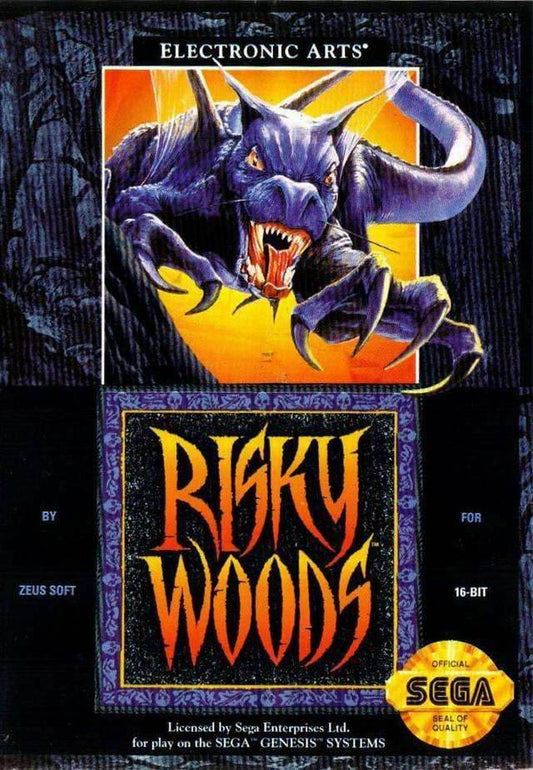 Risky Woods (Sega Genesis) - Game Manual Only