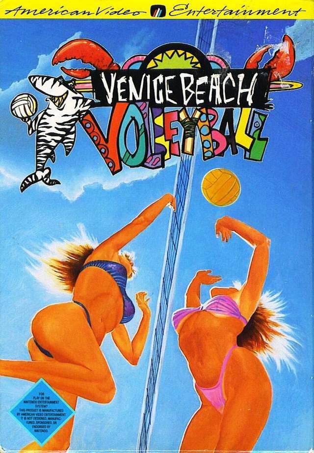 Venice Beach Volleyball (Nintendo NES) - Game Manual Only