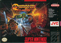Dungeon Master (Super Nintendo) - Game Manual Only