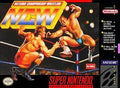Natsume Championship Wrestling (Super Nintendo) - Game Manual Only