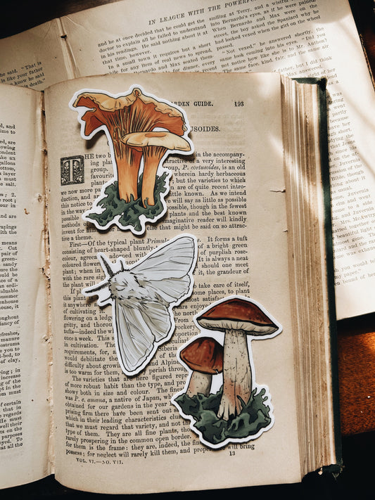 Enchanted Forest | Waterproof Vinyl Stickers | 3"