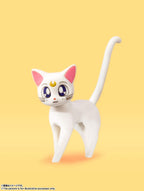 Sailor Venus -Animation Color Edition- "Pretty Guardian Sailor Moon", Bandai Tamashii Nations S.H. Figuarts Figure