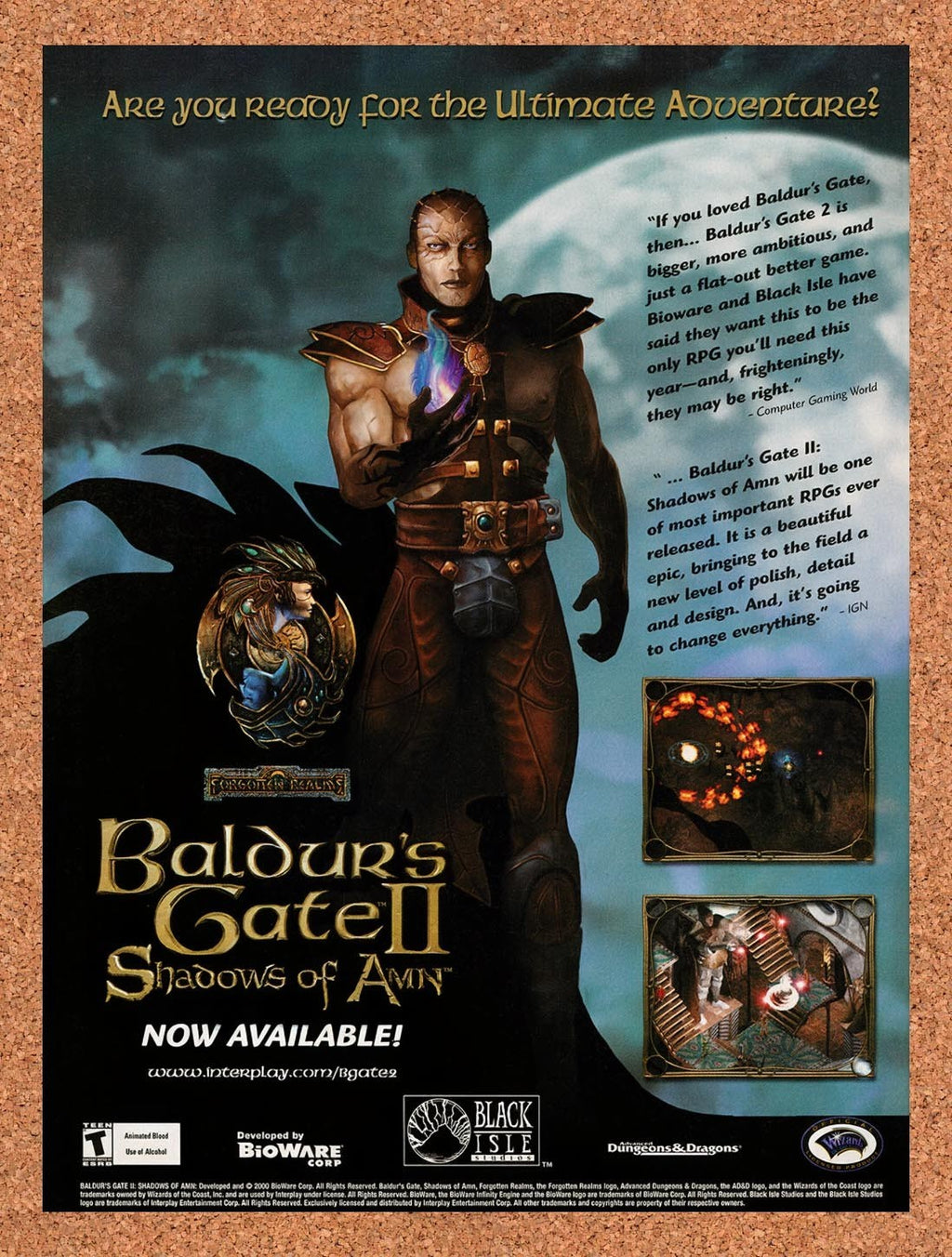 2000 Baldur's Gate II Shadows Of Amn PC Nvidia Original Advertisement v2