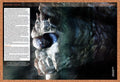 2006 Dragon Age PC Original War Golem Review Ad