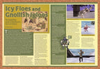 2000 EverQuest Scars Of Velious Early Preview Original Ad vr3