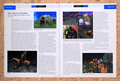 2001 EverQuest Shadows Of Luclin Horse Travel Reveal Original Ad v7