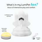 LumiPets® Rowdy the Rocket- Children's Touch Night Light Junior