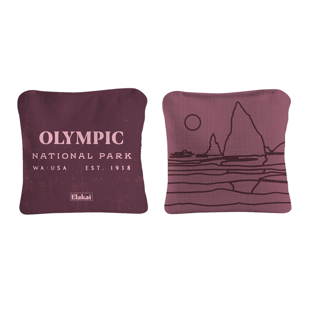 6-in Dual-Sided Cornhole Bags | National Parks Collection