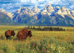 Puzzle: HDR Photography - Grand Teton National Park - 