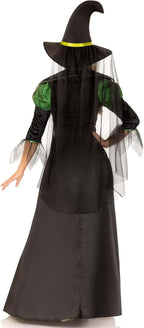 Storybook Witch Costume - Women's 2-Piece Halloween Dress with Hat and Veil