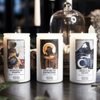 Cantrip Candles - Javid, Steward of Knowledge 16 oz. - 