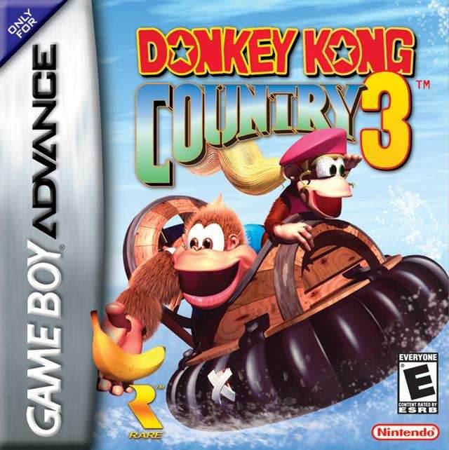 Donkey Kong Country 3 (Gameboy Advance) - Game Manual Only