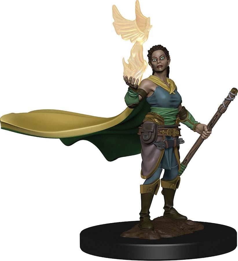 D&D: Icons of the Realms - Elf Female Druid - 