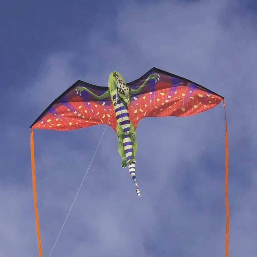 Fantasy 70 inch Wingspan Nylon Pterodactyl - 
