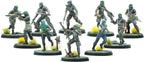 Fallout: Wasteland Warfare - Raiders - the Disciples - 