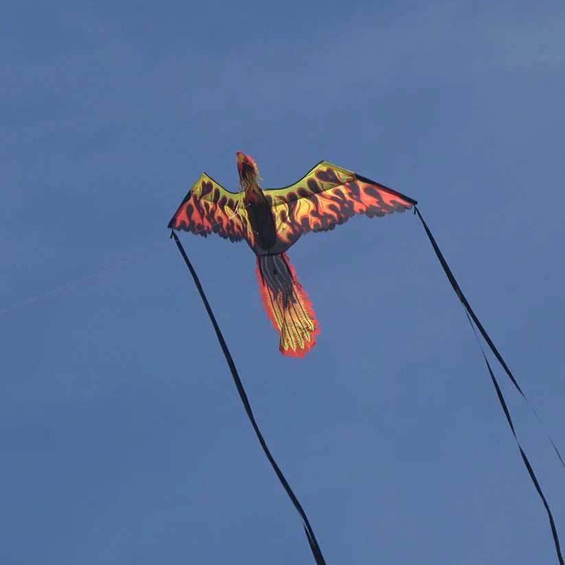 74 inch (6 foot) Wingspan 3-D Nylon Firebird Phoenix Kite - 