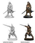 Pathfinder: Deep Cuts - Human Male Fighter - 