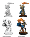 Pathfinder: Deep Cuts - Human Female Cleric - 