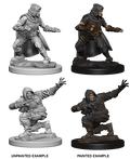 Pathfinder: Deep Cuts - Human Male Rogue - 