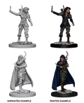 Pathfinder: Deep Cuts - Human Female Rogue - 