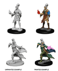 Pathfinder: Deep Cuts - Elf Female Sorcerer - 
