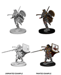 Pathfinder: Deep Cuts - Human Female Paladin - 