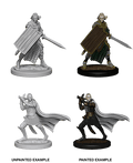 Pathfinder: Deep Cuts - Elf Male Paladin - 