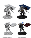 Pathfinder: Deep Cuts - Elf Female Paladin - 