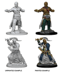 Pathfinder: Deep Cuts - Human Male Monk - 