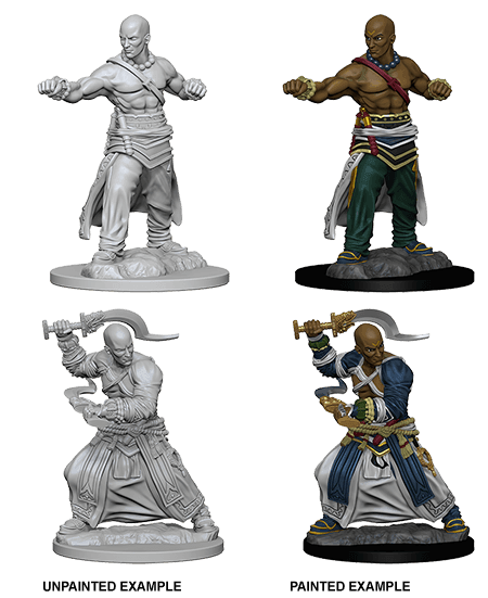 Pathfinder: Deep Cuts - Human Male Monk - 