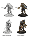 D&D: Nolzur's Marvelous Miniatures - Human Male Paladin - 