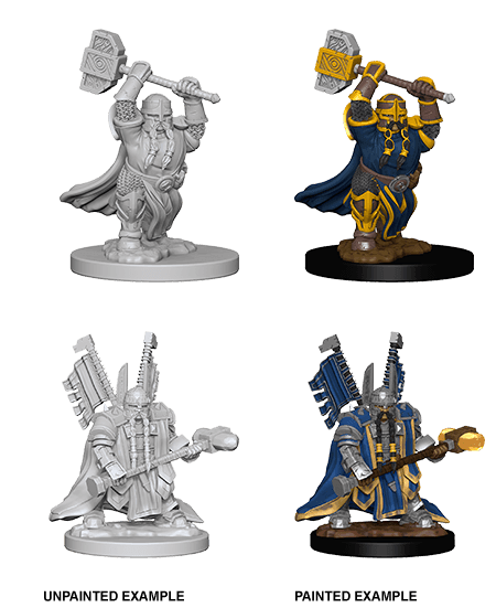 D&D: Nolzur's Marvelous Miniatures - Dwarf Male Paladin - 