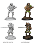 D&D: Nolzur's Marvelous Miniatures - Human Male Bard - 
