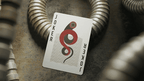 Dune Playing Cards by theory11 - 