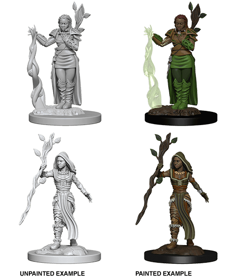 D&D: Nolzur's Marvelous Miniatures - Human Female Druid - 